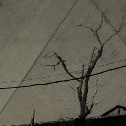 Mytrip : Mytrip - EUS